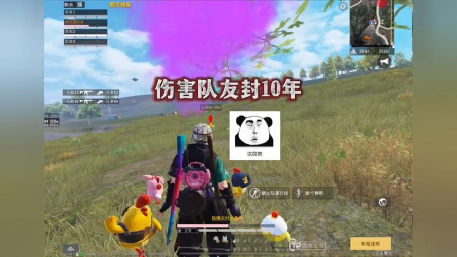 【神罚特别版】✅支持所有电脑系统，支持模拟器高清版。人物透视 锁死自瞄 射线方框 物资显示
